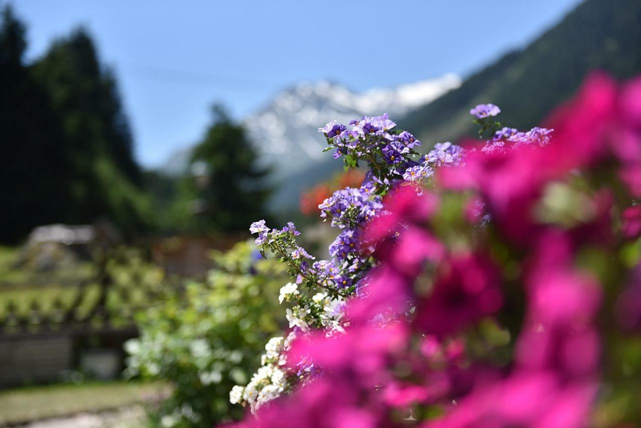 Apartment Fernerkogel Gries im Sellrain Buitenkant foto